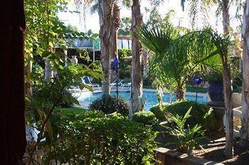 Helios Hotel Palm Springs Buitenkant foto